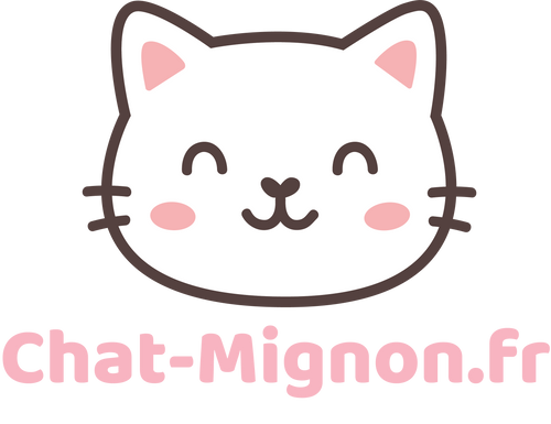 Chat-mignon